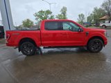 Certified 2023 Ford F150 XLT w/ Equipment Group 302A High image 6