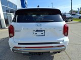 New 2025 Hyundai Palisade Calligraphy image 4