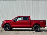 New 2025 Ford F150 STX image 2