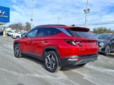 Certified 2023 Hyundai Tucson Limited image 5