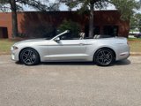 Used 2019 Ford Mustang Premium image 2