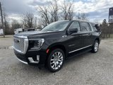 New 2024 GMC Yukon XL Denali image 4