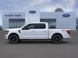 New 2025 Ford F150 XLT w/ Equipment Group 302A MID image 3