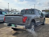New 2025 Ford F150 XLT w/ Equipment Group 302A MID image 4