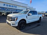 New 2025 Ford F150 Platinum w/ FX4 Off-Road Package image 2