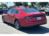 Certified 2024 Honda Accord EX image 3