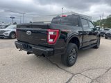 Certified 2023 Ford F150 Tremor w/ Equipment Group 402A High image 4