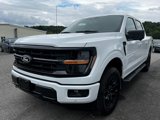 New 2025 Ford F150 XLT w/ Equipment Group 302A MID image 5