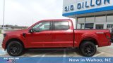New 2025 Ford F150 XLT image 2