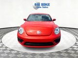 Used 2019 Volkswagen Beetle 2.0T S image 2
