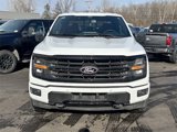 Used 2025 Ford F150 XLT w/ Equipment Group 302A MID image 2