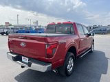 Used 2024 Ford F150 XLT w/ Equipment Group 302A MID image 3