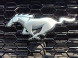 Used 2024 Ford Mustang GT Premium image 2