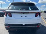 Used 2024 Hyundai Tucson SE image 6