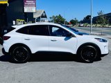 Used 2020 Ford Escape SE Sport image 4