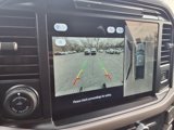 New 2025 Ford F150 XLT w/ Equipment Group 302A MID image 6