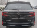 New 2025 Honda Odyssey Elite image 5