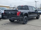 New 2025 Ford F150 Platinum w/ Equipment Group 702A High image 4