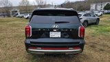 New 2025 Hyundai Palisade Calligraphy image 5