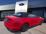 Certified 2022 Ford Mustang Premium image 2