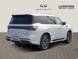 New 2025 INFINITI QX80 Luxe w/ Cargo Package image 4