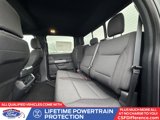New 2025 Ford F150 XLT w/ Equipment Group 302A MID image 5