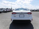 Used 2024 Toyota Corolla LE image 5