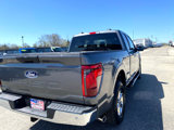New 2025 Ford F150 XLT image 5
