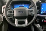 New 2025 Ford F150 XLT w/ Equipment Group 303A High image 5