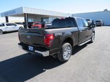 New 2024 Ford F150 XLT w/ Equipment Group 302A MID image 5