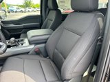 New 2025 Ford F150 XLT w/ Equipment Group 302A MID image 4