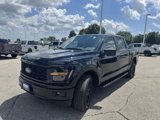 Certified 2024 Ford F150 STX w/ STX Black Appearance Package image 3