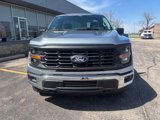 New 2025 Ford F150 XL w/ Equipment Group 103A High image 2