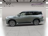 New 2025 INFINITI QX80 Sensory w/ Exterior Package image 4