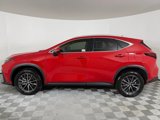 Certified 2025 Lexus NX 250 FWD w/ Premium Package image 3