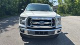 Used 2016 Ford F150 XLT w/ Equipment Group 301A Mid image 2
