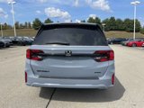 New 2026 Honda Odyssey Sport-L image 4