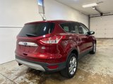 Used 2013 Ford Escape SEL image 6