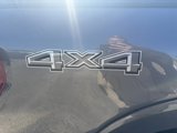 New 2024 Ford F150 XL w/ Equipment Group 103A High image 5