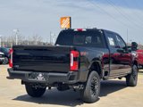 New 2025 Ford F250 Platinum image 5