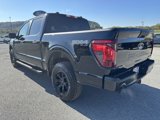 New 2024 Ford F150 STX w/ Equipment Group 201A FX4 image 5