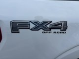 New 2025 Ford F150 XLT image 5