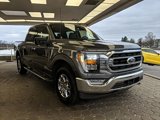 Certified 2022 Ford F150 XLT w/ Equipment Group 302A High image 3
