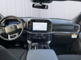 New 2025 Ford F150 XLT w/ Equipment Group 302A MID image 2
