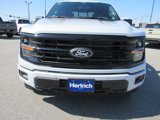 New 2025 Ford F150 XLT image 2