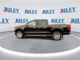New 2025 Ford F150 XLT w/ Equipment Group 302A MID image 5