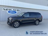 New 2025 Ford Expedition Active image 1