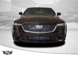 New 2025 Cadillac CT4 Premium Luxury image 2