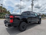 New 2025 Ford F250 Platinum image 5