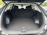 New 2026 Kia Sportage SX Prestige image 4